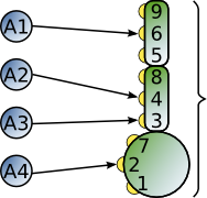 Receptor types