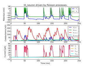intrinsic_currents_spiking