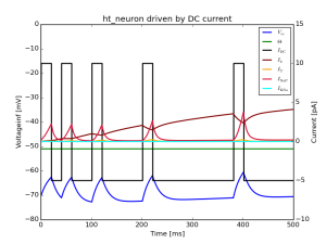 intrinsic_currents_subthreshold