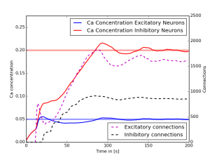 structural_plasticity