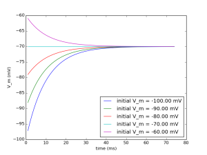 vinit_example